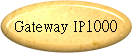 Gateway IP1000